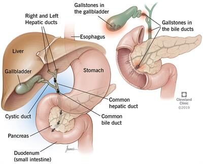 hernia surgeons near me